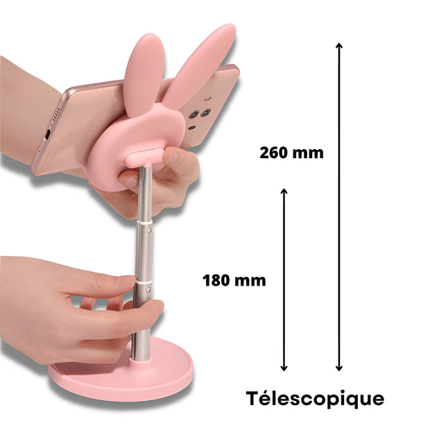 Support Telephone Bureau Lapin